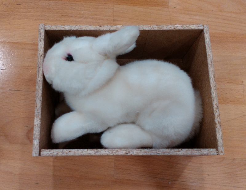 králík
