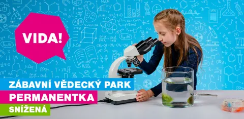 Permanentka Snížená