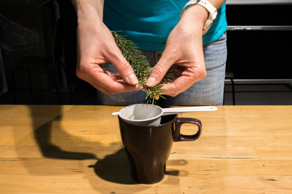 Uvaříte si smrkový čaj