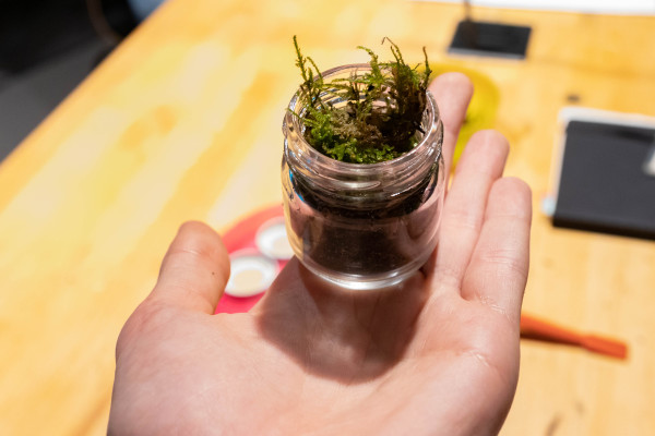 ...a vyrobíte si malý ekosystém na památku.