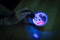 Fluorescence chlorofylu