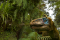 Dinosauři: Tajemství Antarktidy
