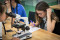 My microworld (English)