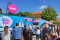 VIDA! Roadshow