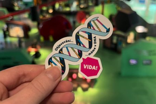 Magnetky z VIDA!