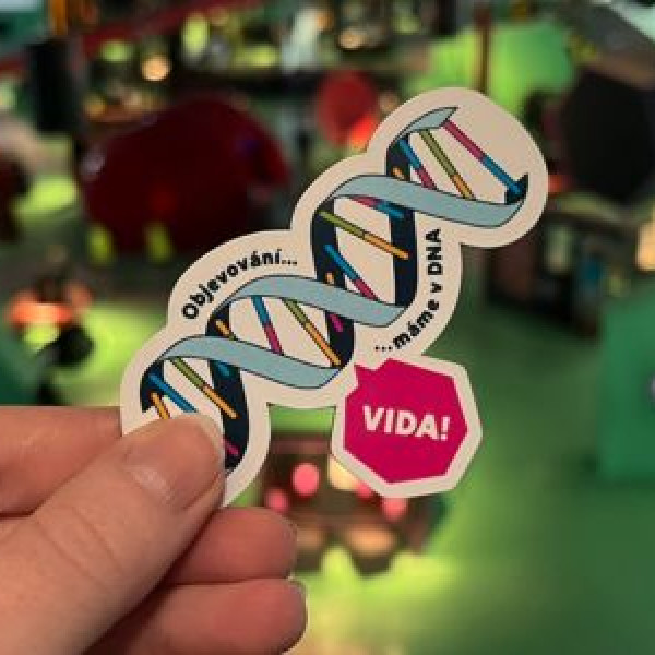 Magnetky z VIDA!